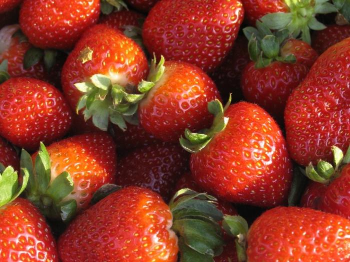 Grădină-grădină: cum să hrăniți căpșunile