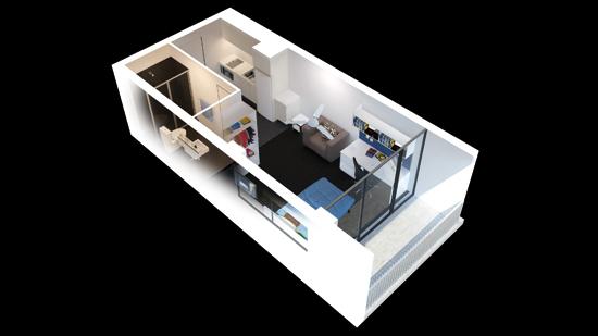 soluție pentru un apartament cu o cameră