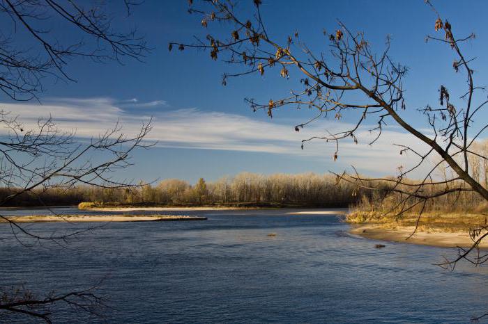 Irgiz este un râu în regiunile Samara și Saratov. Descrierea, odihna si pescuitul