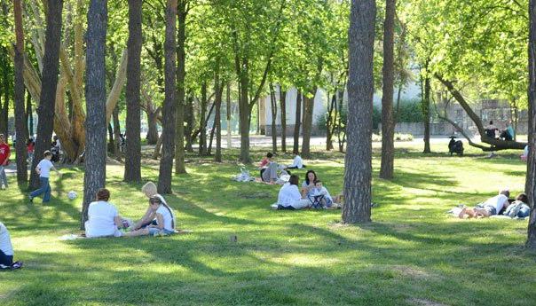 Parcuri Krasnodar: cele mai interesante locuri de recreere în oraș