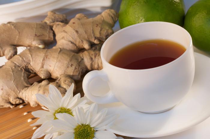 Ceai de ghimbir: beneficii și efecte nocive, proprietăți și contraindicații. Cum să bei ceai de ghimbir